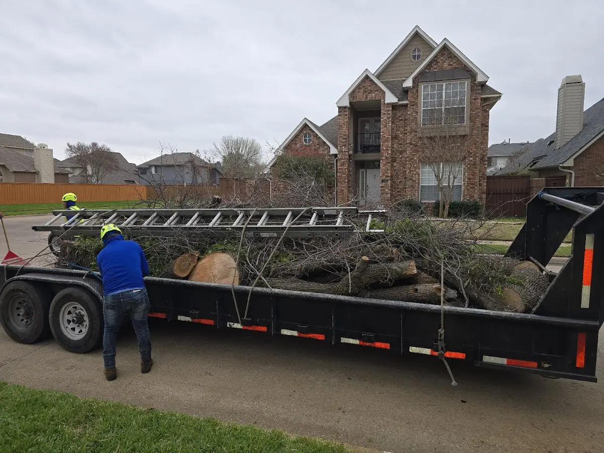 Expert Lot Clearing with proper safety equipment in Busy